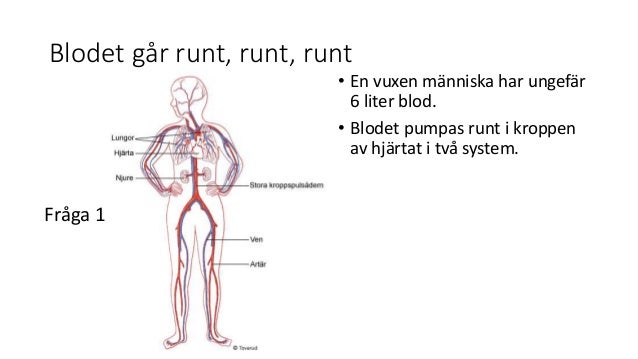 hur många liter blod har en människa hur många liter blod har en människa